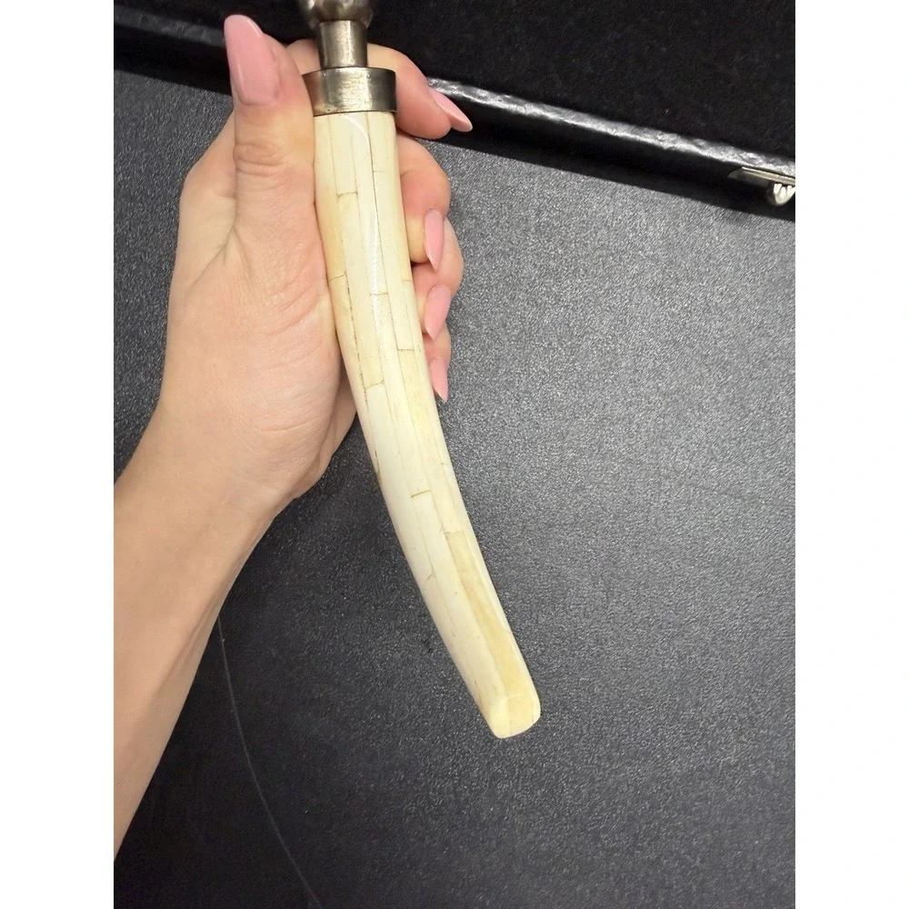 Vintage Tusk Style Handle Magnifying Glass Desk‎ Decor w/ Case